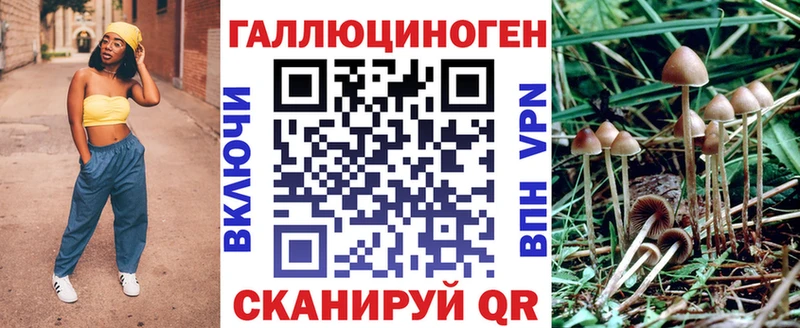 Купить где  Томари  Галлюциногенные грибы Psilocybine cubensis 